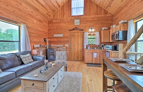 Milam County Cabin | Chic Thorndale Cabin w/Fire Pit & Paddleboat!