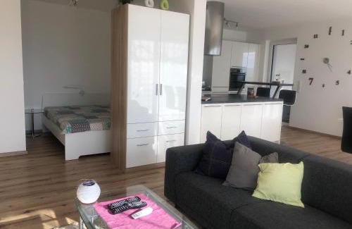 Zwischenwasser Apartment | Chicken Hill