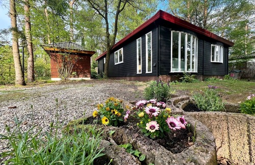 Municipality of Elburg Ski Chalet | Child-friendly holiday home near a pool and playground in the forests of Veluwe