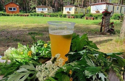 Daugavpils Other | Chill&Grill camping