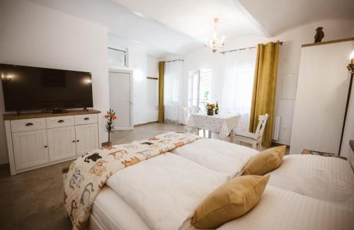 Moravske Toplice Apartment | Chonky Cat