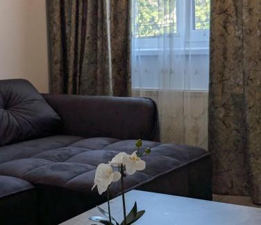 Calea Sever Bocu Apartment | Christian City Apartament