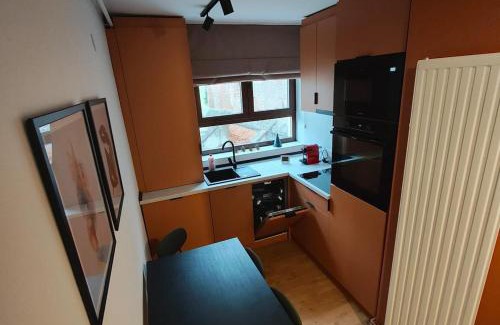 Tirgu Mures Apartment | Christians Haus