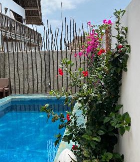 Mnemba Villa | Chunga Changa