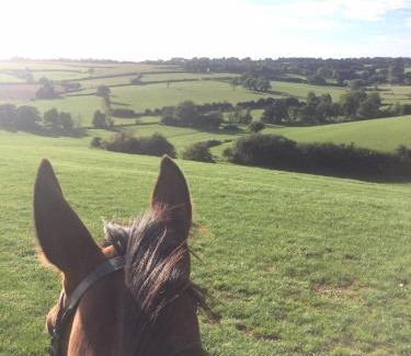 Gillingham Bed & Breakfast | Church Farm