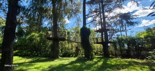 La Falda House | Cielito lindo
