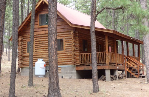 Alpine Cabin | Circle Pine Ranch- "The Real Log Cabin Experience"