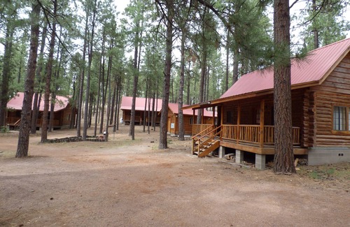 Alpine Cabin | Circle Pine Ranch- "The Real Log Cabin Experience"