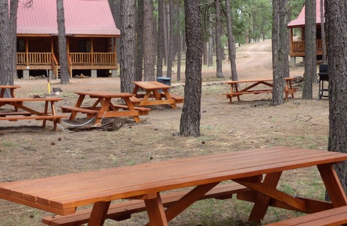 Alpine Cabin | Circle Pine Ranch-"The Real Log Cabin Experience"
