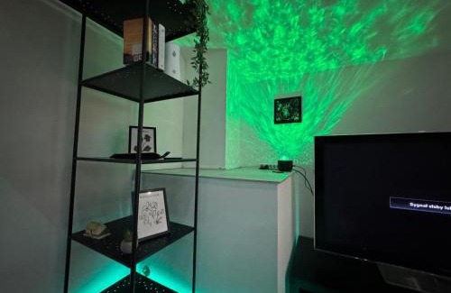 Basel City Centre Apartment | City Apartment Basel BS12