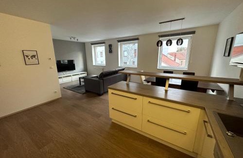 Ceske Budejovice Apartment | City Center apartment FREE PRIVATE PARKING