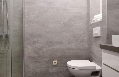Vrpolje Apartment | City Center Apartment Karigo 6