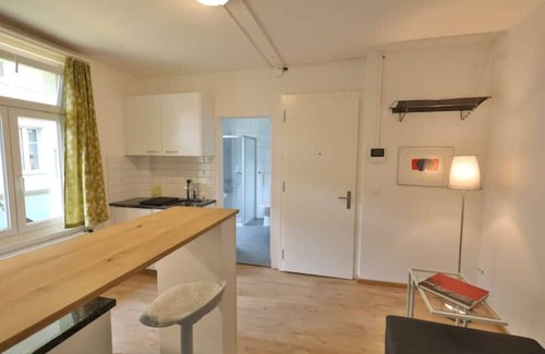 Central Interlaken Apartment | City Center Union 3 Apartment