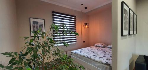 Rezekne Apartment | City Centre Apartment