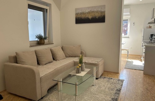 Siska District Apartment | City Modern and Vibrant Apartments Ljubljana - Standard One Bedroom Apartment