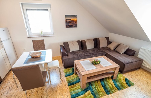 Siska District Apartment | City Modern and Vibrant Apartments Ljubljana - Standard One Bedroom Apartment
