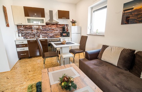 Siska District Apartment | City Modern and Vibrant Apartments Ljubljana - Standard One Bedroom Apartment