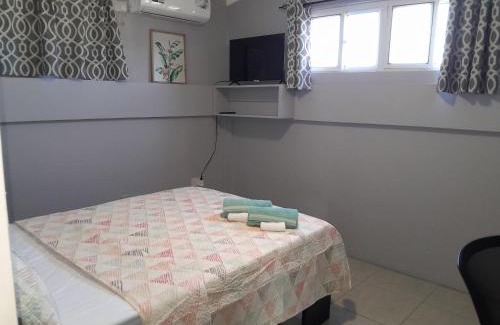 Roseau Apartment | City View