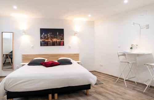 Orangerie Apartment | CityCosy Strasbourg - Studio Hirtz Orangerie, CityCosy-Strasbourg : Studio Residence Hirtz