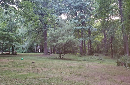 Clifton House | Class A RV on a private 5 Acre Property with RV campsite and trail.