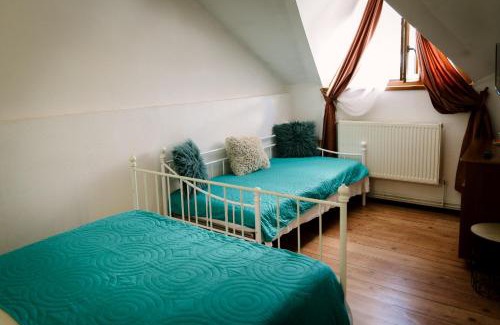 Petrosani House | Class