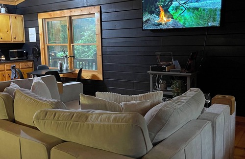 Hidden Lake Cabin | Classic Stylish Cabin in Cherry Log w/Hot Tub, Fire Pit & Seclusion