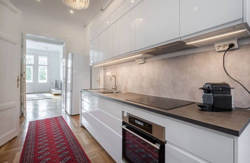 Nepszinhaz negyed Apartment | Classical apartment with a modern touch!