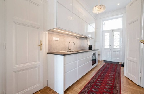 Nepszinhaz negyed Apartment | Classical apartment with a modern touch!