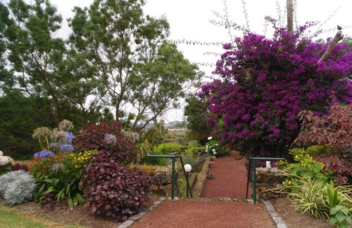 Livramento Cottage | clean quality, self catered, semi detached ,max 4