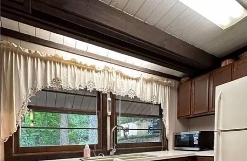 Beech Mountain House | Close to the Ski Resort @ the Ladybug Lodge