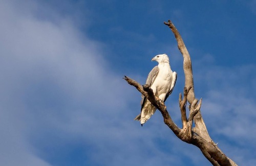 South Bruny Cottage | Cloudy Creek Cottage - Escape to Cloudy Creek Cottage!