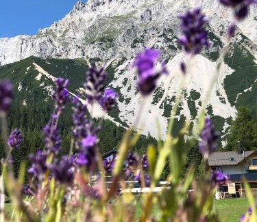 Schildlehen House | Club Villa