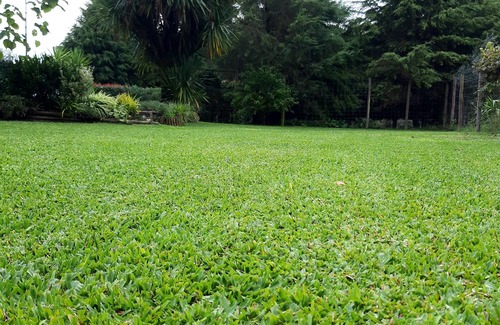 Carregal do Sal Cottage | Country house with pool, barbecue and green spaces