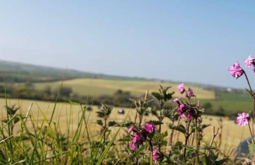 Tremain Cottage | Coach House - 5 minutes from stunning beaches of Cardigan Bay