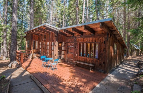 Dorrington Cabin | Coach House-A Unique Getaway Tucked in the Trees