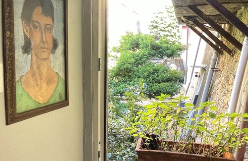 Arcola House | Coazy Typical Studio