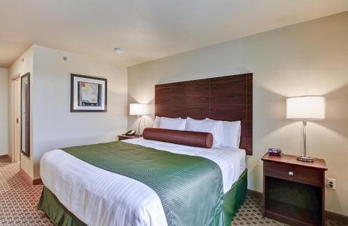 Pulaski Hotel | Cobblestone Hotel & Suites Pulaski/Green Bay