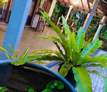 Kaduruduwa House | Coco Grove