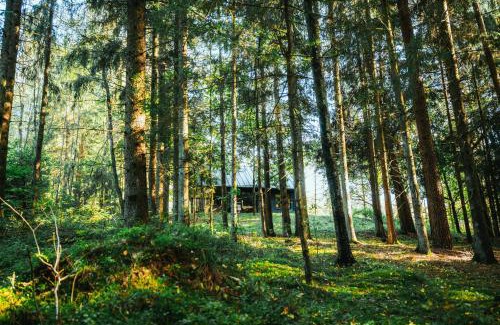 Renavas House | Cocodeno-'Virš Ąžuolų' - Forest SPA - FREE jacuzzi