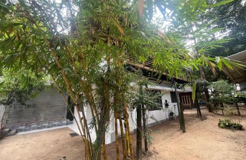 Kuzhuppilly House | Coconut Garden