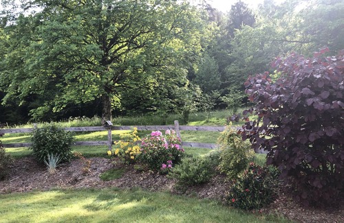 Ramonchamp House | Cocooning spirit" gîte close to footpaths and cycle path