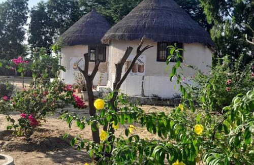 Ndangane House | Coeur Phil-Harmonie