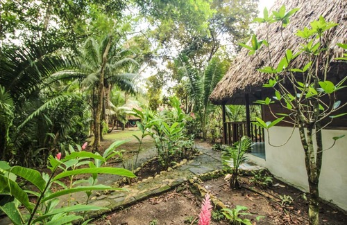 Bullet Tree Falls House | Cohune Palms River Cabanas: Private river cabanas just 2.5 mi from San Ignacio