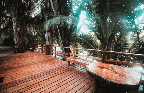 Bullet Tree Falls House | Cohune Palms River Cabanas: Private river cabanas just 2.5 mi from San Ignacio