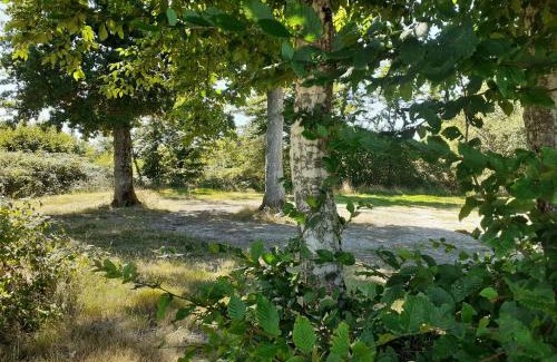 Dracy House | Coin de nature en Puisaye