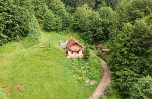Petrila House | Coliba de la Rapa