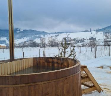 Ciocanesti Ski Chalet | Coliba Plutasilor