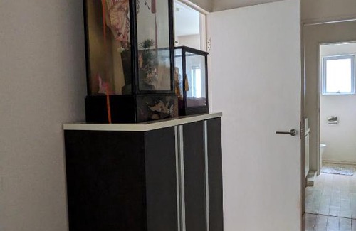 Koenjiminami Apartment | Colin Home Intimo Amigo