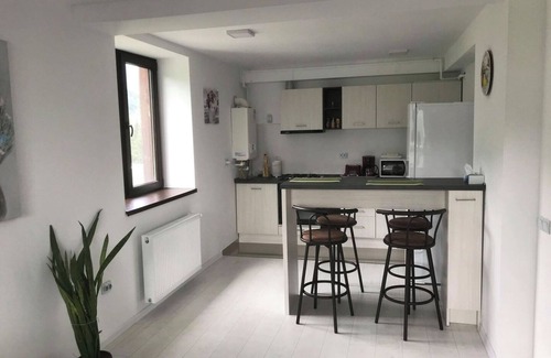 Sinaia Apartment | Colina Blossom Retreat