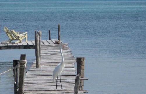Caye Caulker Hotel | Colinda Cabanas